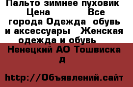 Пальто зимнее пуховик › Цена ­ 2 500 - Все города Одежда, обувь и аксессуары » Женская одежда и обувь   . Ненецкий АО,Тошвиска д.